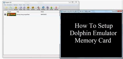 dolphin memory card